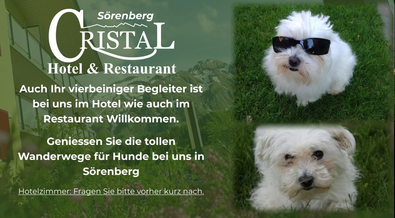 Hotel Cristal Sörenberg Exterior foto